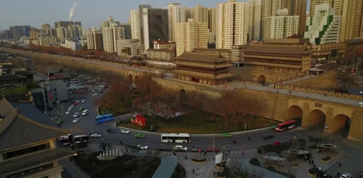 一个赌狗的内心独白